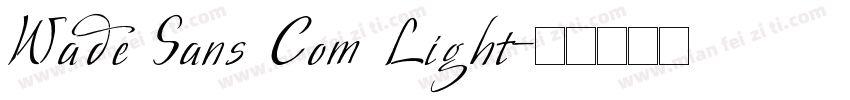 Wade Sans Com Light字体转换